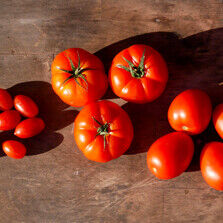 All unsere Tomaten sind aktuell aus der Region