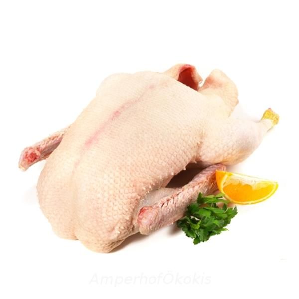 Produktfoto zu Ente ca 2,2 - 2,8kg