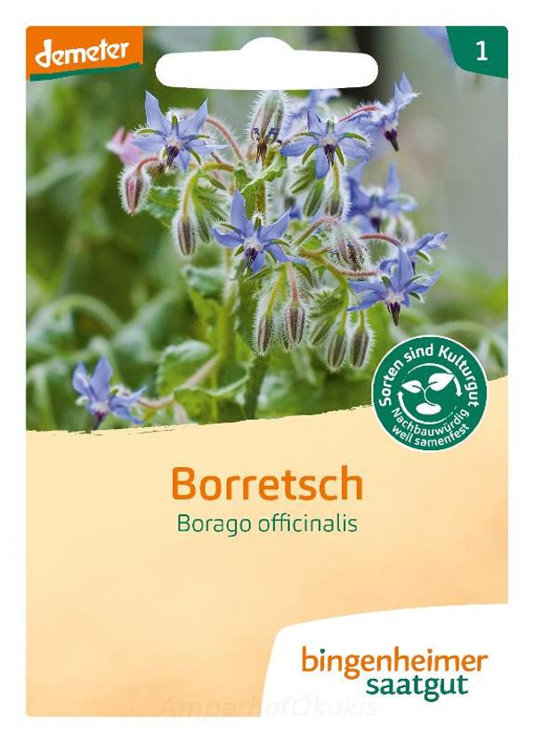 Produktfoto zu Saat: Borretsch