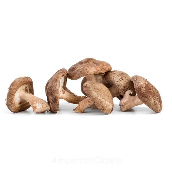 Produktfoto zu Shiitake-Pilze ca. 200g