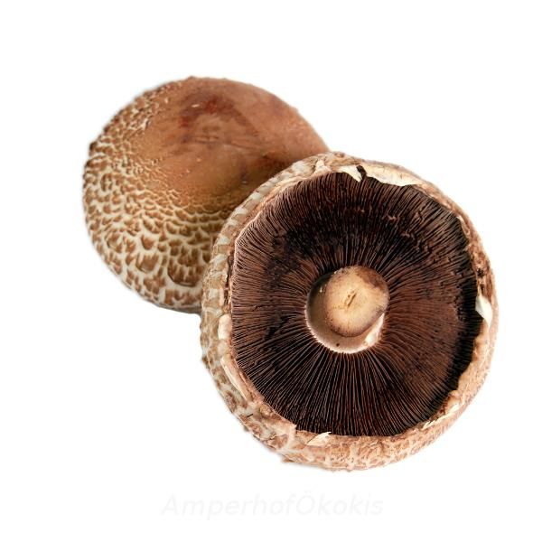 Produktfoto zu Portobello, Riesenchampignon ca. 300g