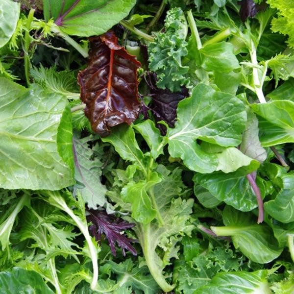 Produktfoto zu Babyleaf Spezialitäten ca. 150g