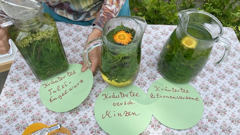 Kräutertees im Sommer am Amperhof