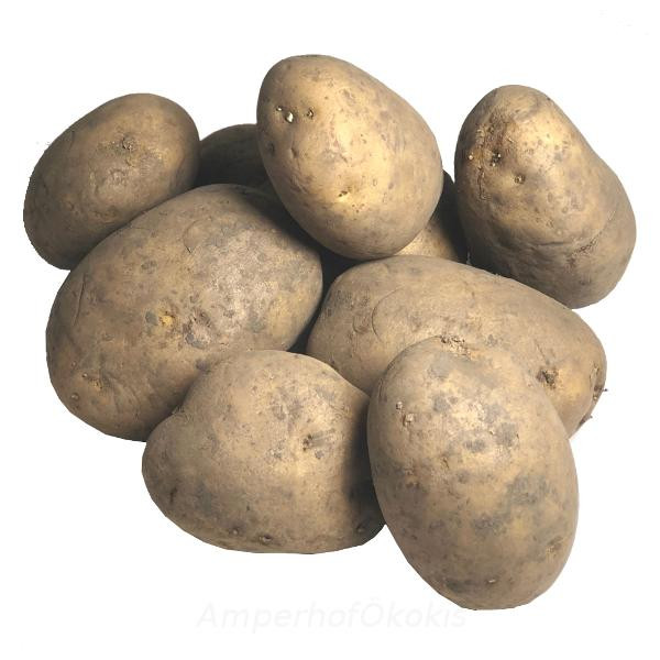 Produktfoto zu Kartoffeln XXL Sorte Belana 5kg