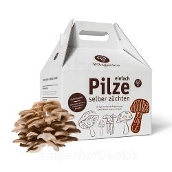 Produktfoto zu Pilzkit Kastanienseitling