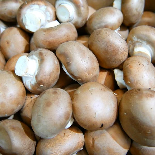 Produktfoto zu Champignon 1 kg Kiste