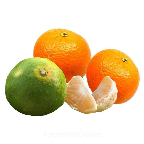 Produktfoto zu Satsumas, Mandarinen, grüne Schale aber reif!