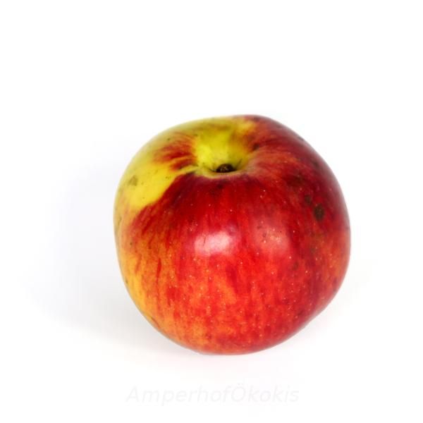 Produktfoto zu Apfel Brettacher