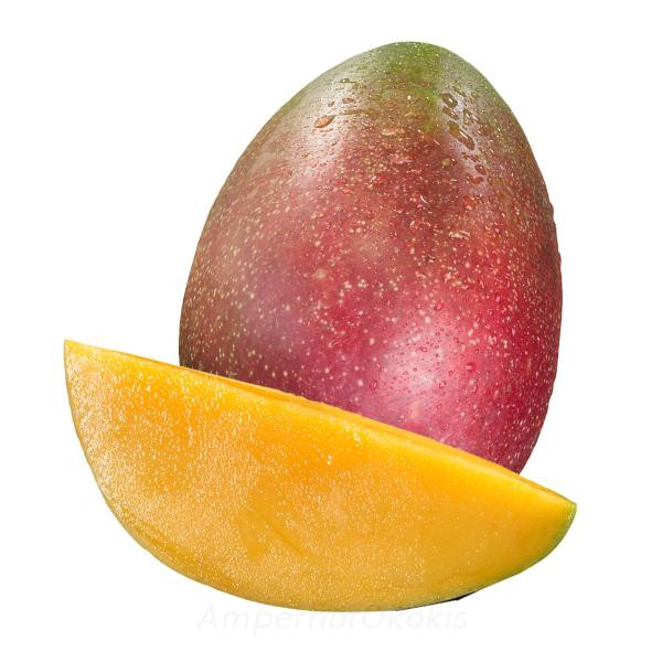 Produktfoto zu Mango