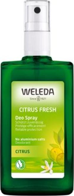 Produktfoto zu Citrus Deospray 100 ml