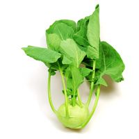 Kohlrabi