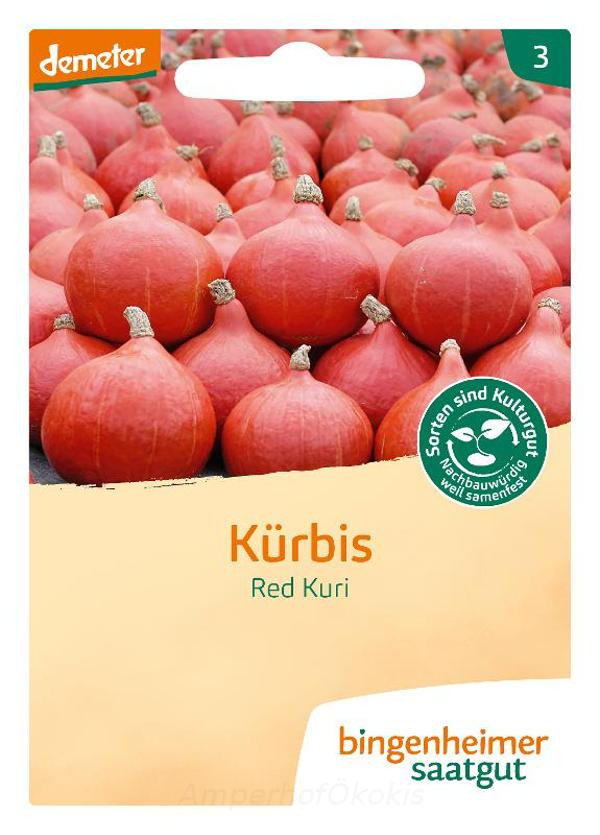 Produktfoto zu Saat: Hokkaido Red Kuri