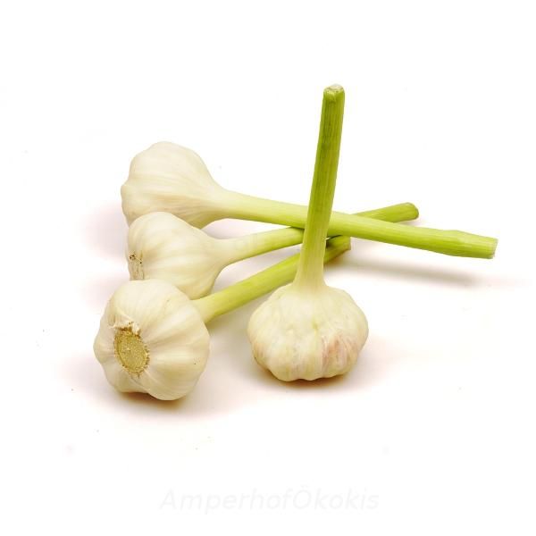 Produktfoto zu Frischer Knoblauch