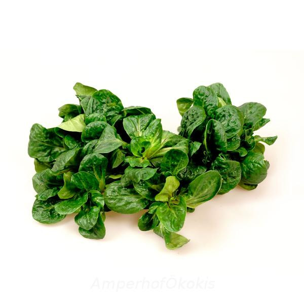 Produktfoto zu Feldsalat ca. 150g