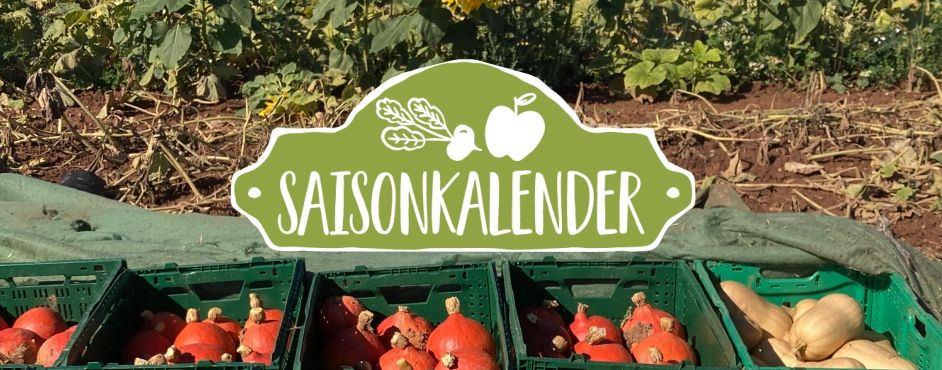 Saisonkalender November