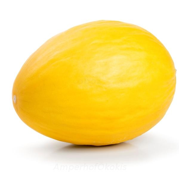 Produktfoto zu Melone Canari (honiggelb)