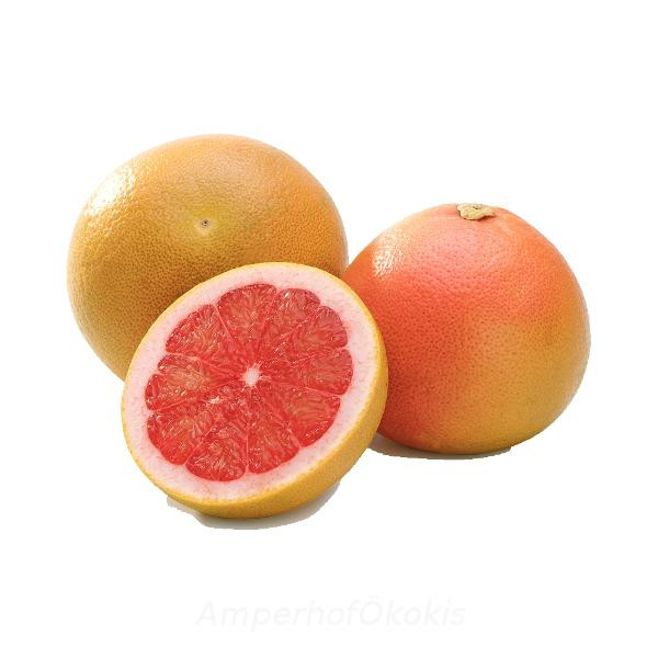 Produktfoto zu Grapefruit