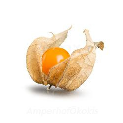 Produktfoto zu Physalis ca. 100g