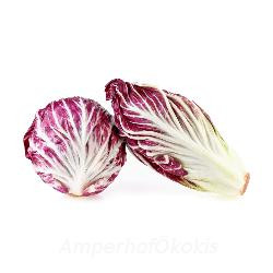 Produktfoto zu Radicchio